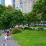 Central Park - New York
